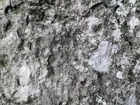 Gray Stone grunge Surface Background. Old stone.A dirty old wall with cracks and Stock Photos