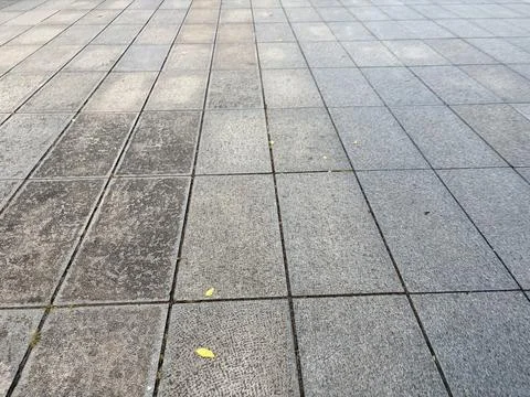 Gray stone pavement with shadows and leaves. Stock Photos