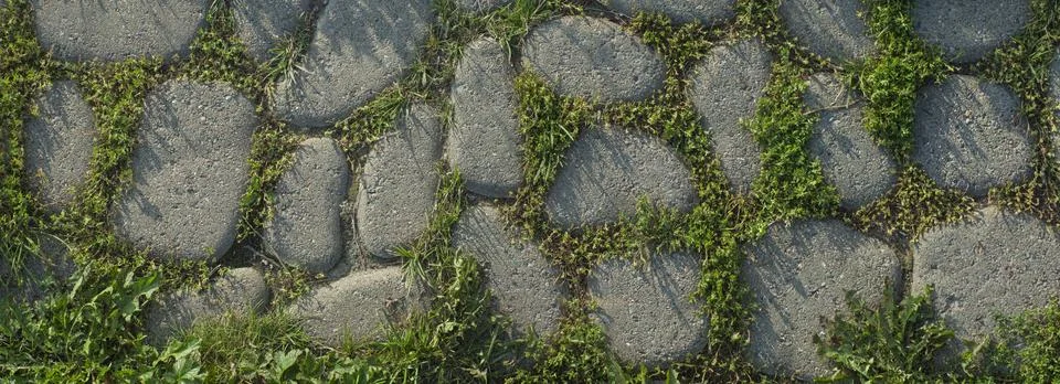 Gray stone pebble path, background with bunch of green grass Stock Photos