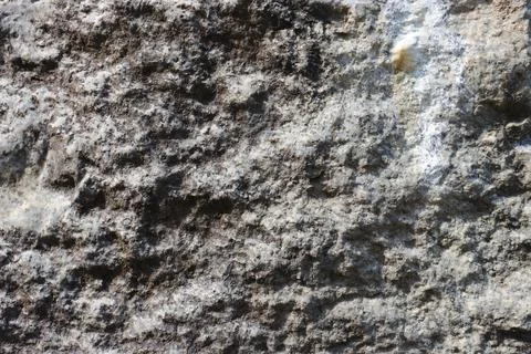 Gray stone with rough texture. Stock Photos