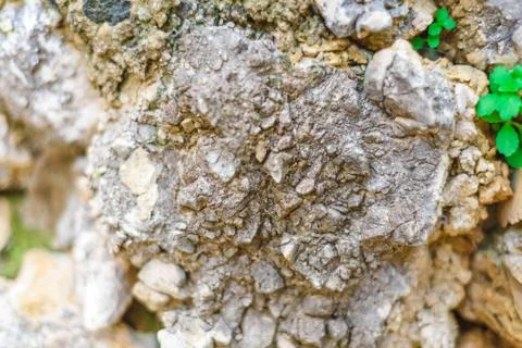 Gray stone texture granite background, closeup top view Stock Photos