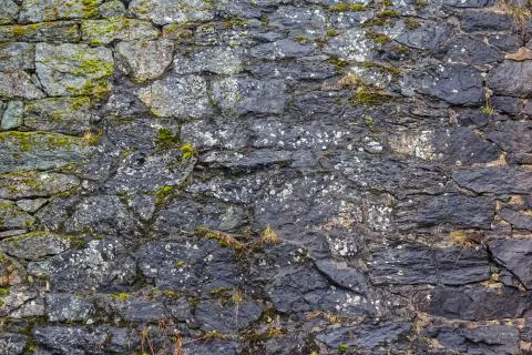 Gray stone wall covered with moss. Stock Photos