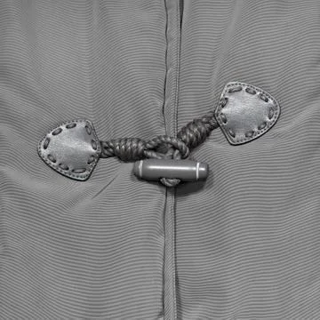 Gray strips and clasp Stock Photos