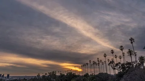 Gray Sunset over palm trees Stock Footage 258795965