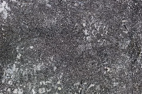 Gray surface with fine texture and white dots. Abstract neutral background for Stock Photos