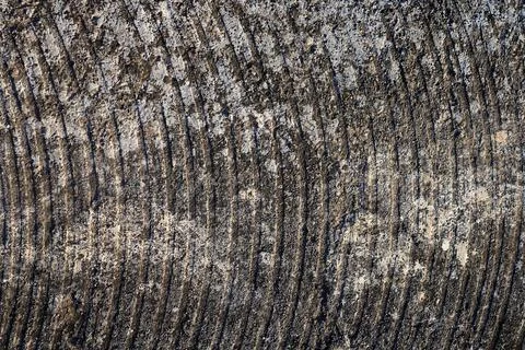 A gray surface made of stone or concrete with concentric semicircles, cracks. A Stock Photos