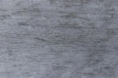 Gray surface texture of wood. Stock Photos