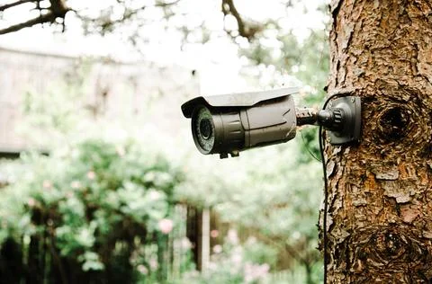 Gray surveillance camera hanging on a tree in the garden Stock Photos