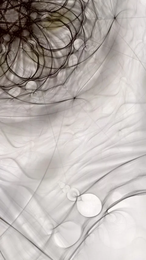 Gray swirling curved wave pattern on white background Video stock 337510504