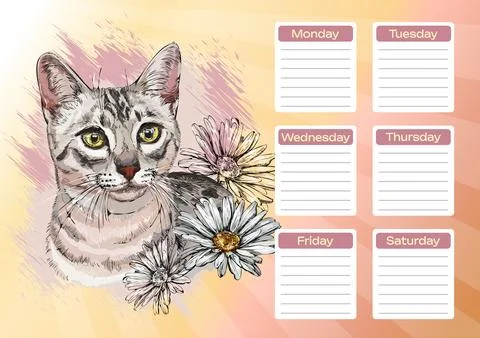 Gray tabby cat with daisy flowers planner and school schedule vector Stock Illustration
