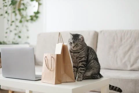 A gray tabby cat looking at craft paper bags at home. Delivery, Shopping concept Foto stock