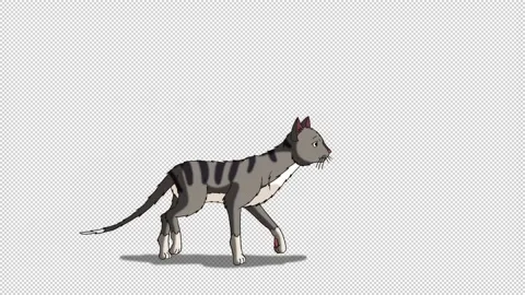 Gray tabby Cat moves from place to place alpha matte HD Stock Footage 231586187