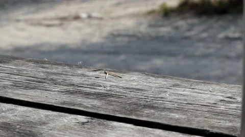 Gray table Stock Footage 160123966