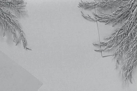 Gray template layout with plants and paper for brand logo placement Fotos Stock