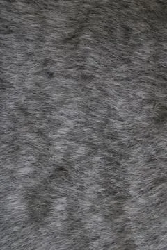 Gray texture background. Fur background Stock Photos