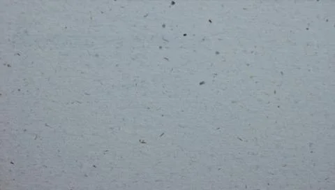 GRAY TEXTURE BACKGROUND FOR GRAPHIC DESIGN Foto stock