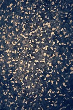 Gray texture background for graphic design Stock Photos