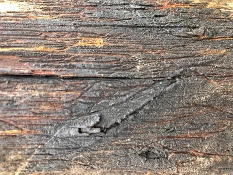 Gray texture of an old raw presentation board Stock Photos