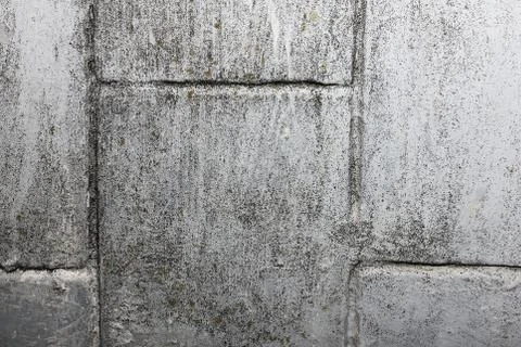 Gray texture with scratched plaster on the wall, Stock Photos