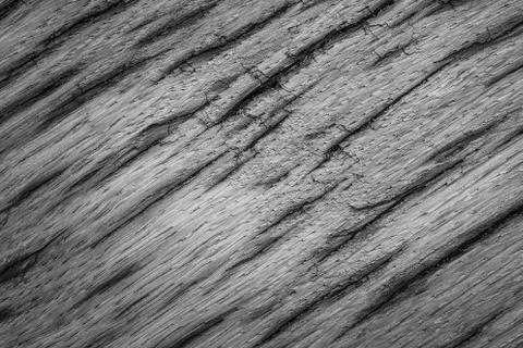 Gray texture very old oak wood Stock Photos