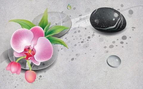 Gray textured background, large pink orchid, black smooth stone, water drops Stock Illustration