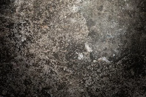 Gray textured cement wall background with fine concrete chips. Фото