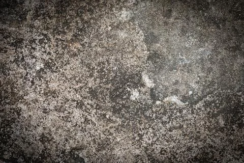 Gray textured cement wall background with fine concrete chips. Construction b Stockfoto's