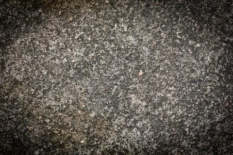 Gray textured cement wall background with fine concrete chips. Construction.. 写真素材
