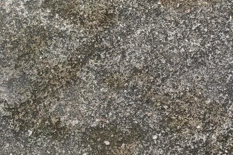 Gray textured cement wall background with fine concrete chips. Construction.. 스톡 사진