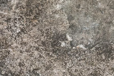 Gray textured cement wall background with fine concrete chips. Construction.. Foto stock