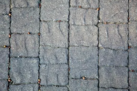 Gray tiles background Stock Photos