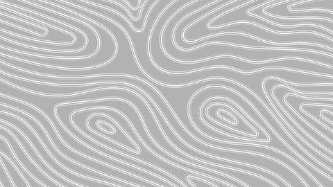Gray Topographic Texture Hand Drawn Line Art Banner Background for Abstract.. Illustrazione stock