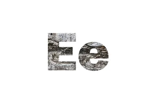 Gray tree bark texture. Shot through the cut-out silhouette of the letter E Stock-Illustration