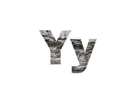 Gray tree bark texture. Shot through the cut-out silhouette of the letter Y Stock Illustration
