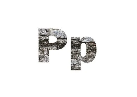 Gray tree bark texture. Shot through the cut-out silhouette of the letter P Stock Illustration