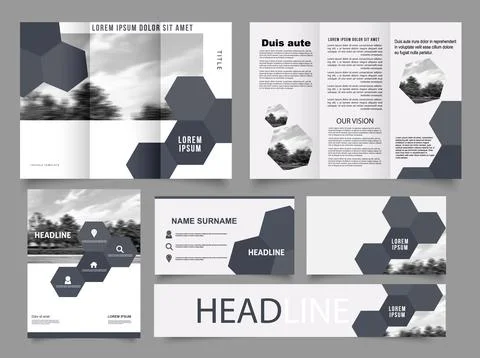 Gray Tri fold brochure with Hexagon Illustrazione stock