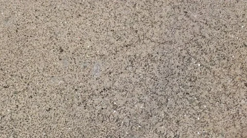 Gray uniform stone wall abstract texture. Old concept. Pattern for decoration. Stock Footage 156428271