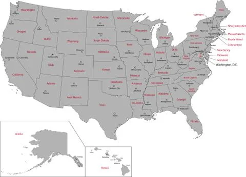 Gray usa map Stock Illustration