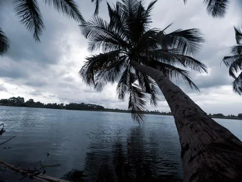 Gray view Stock Photos