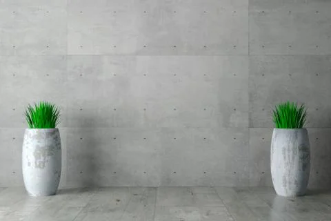 Gray wall concrete monolithic background and plant in pots Stock Photos