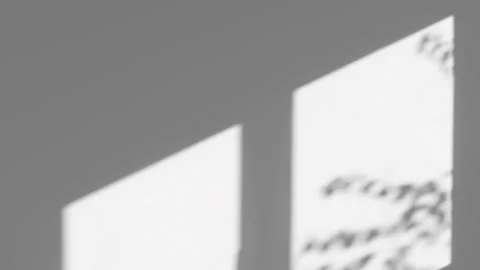 Gray wall with reflection of a window frame with sunlight and a tree Video stock 164842103