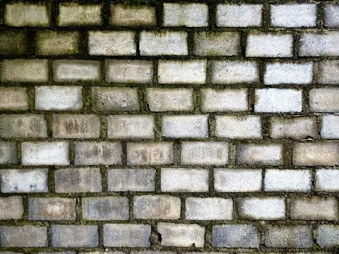 Gray wall with a rough and slightly mossy surface made of concrete bricks Stock Photos