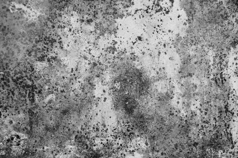 Gray wall texture Stock Photos