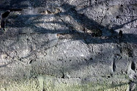 Gray wall with tree shadow and texture of the brickwork laying under cement.. Stock Photos