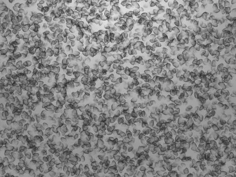 Gray wallpaper Stock Illustration