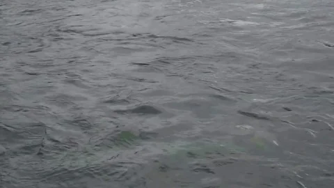 Gray water Stock Footage 81663633