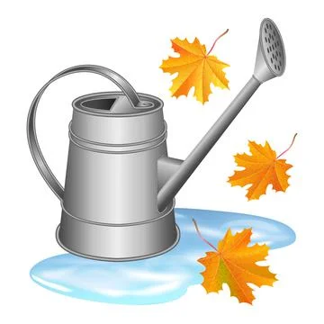 Gray watering can in puddle and falling orange maple leaves. Autumn, garden Stock Illustration