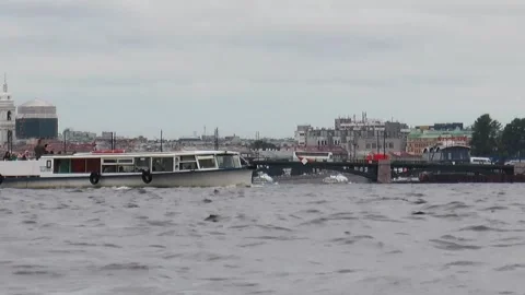 Gray waves of the Neva River on a rainy autumn day. Stock Footage 340878254