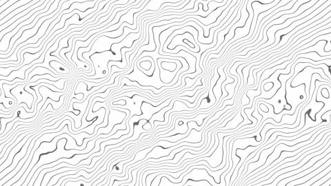 Gray waves on white Stock Footage 309558706