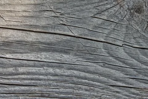 Gray Weathered Wood Texture Background - Rustic Wooden Plank Diagonal Grain Stock Photos